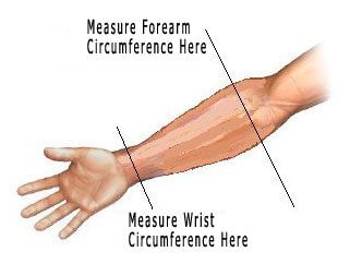 Wrist & Forearm Measurement